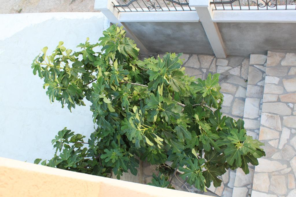 Apartment Adriatika